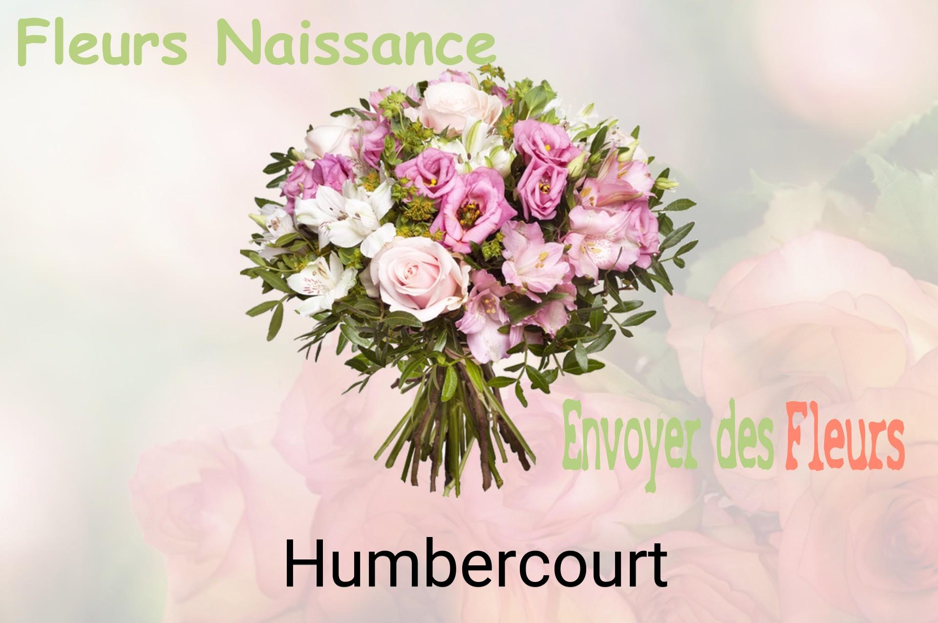 Bouquet de fleurs de naissance livré à Humbercourt